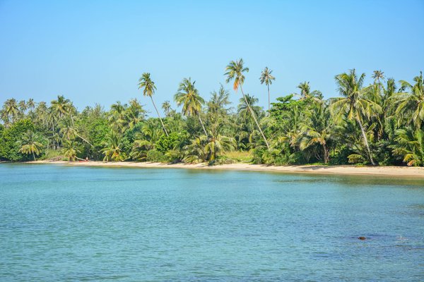 Aventures Culturelles en Altitude : Les Musées Immanquables à Explorer dans les Montagnes